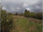 Azonosító: 6236